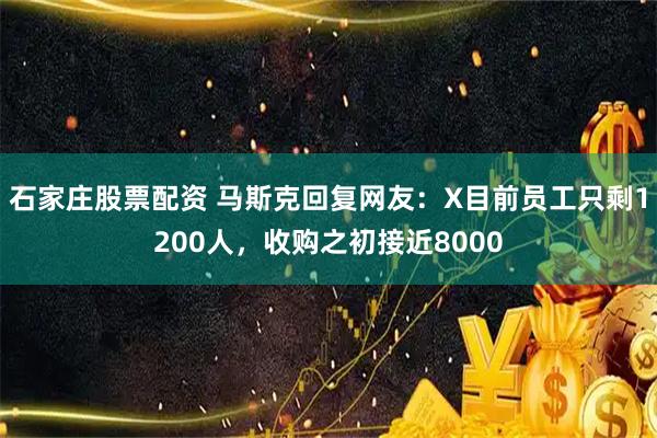 石家庄股票配资 马斯克回复网友：X目前员工只剩1200人，收购之初接近8000