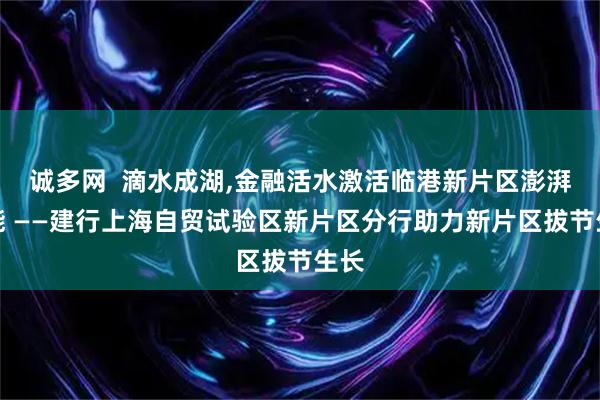 诚多网  滴水成湖,金融活水激活临港新片区澎湃动能 ——建行上海自贸试验区新片区分行助力新片区拔节生长