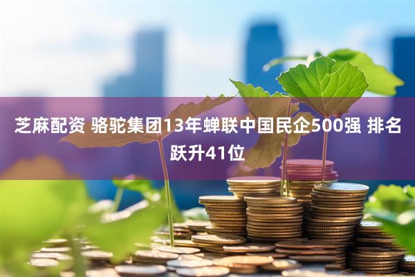 芝麻配资 骆驼集团13年蝉联中国民企500强 排名跃升41位