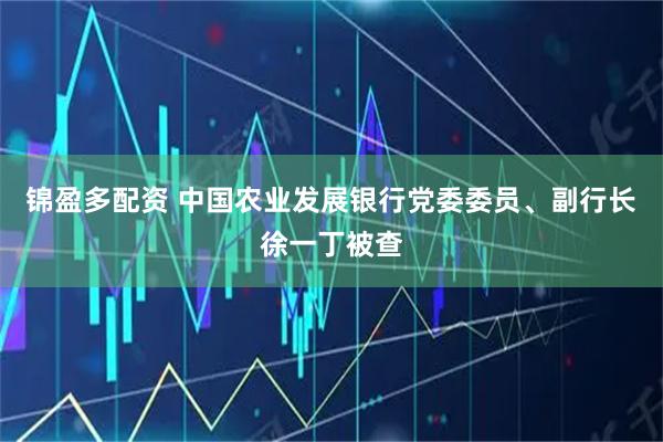 锦盈多配资 中国农业发展银行党委委员、副行长徐一丁被查