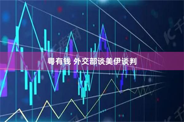 粤有钱 外交部谈美伊谈判